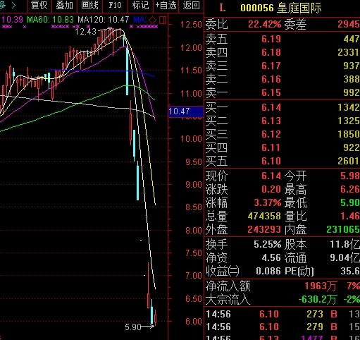 揭秘，最新ST康美股票动态与深度投资前景解析（11月28日）