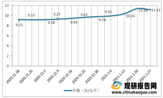 山东省最新鸡蛋行情分析报告，历年11月28日市场观察与行情分析