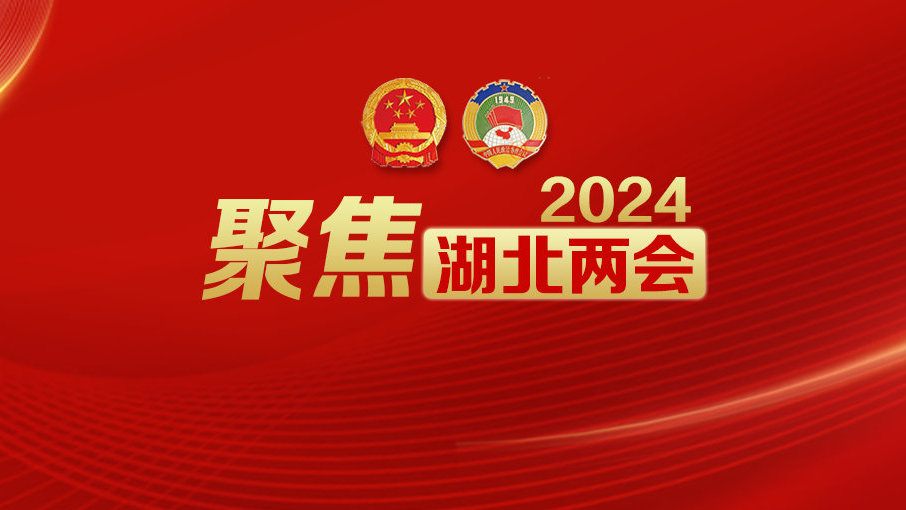 揭秘湖北人事任命新动向，展望2024年湖北人事任命蓝图与未来猜测（最新人事任命一览）