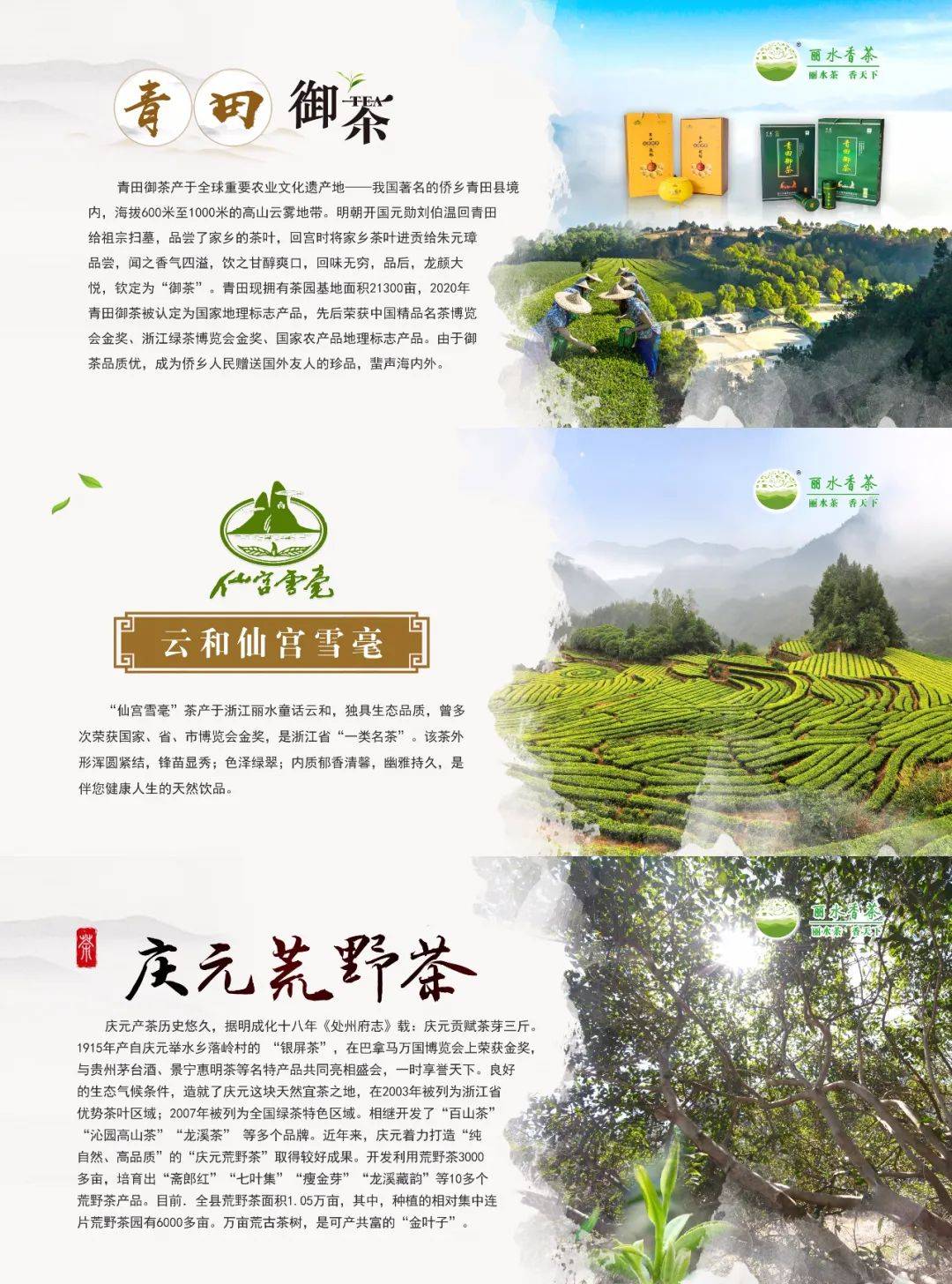 丽水茶苑最新评测，探索未来版本，体验2024年全新升级的魅力