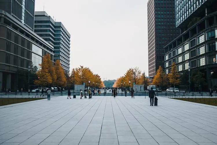 凌文最新消息解析指南，掌握新技能与任务的逐步指南（11月28日更新）