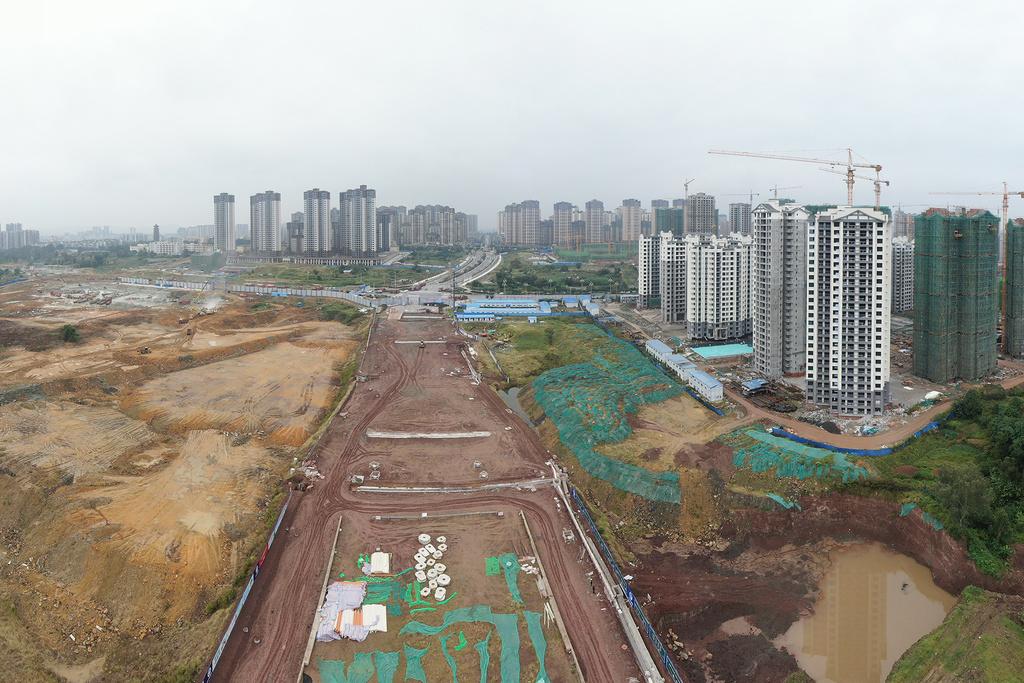 洛阳廛滨隆居未来展望，变革学习之路，自信与成就感的旅程（最新预测）