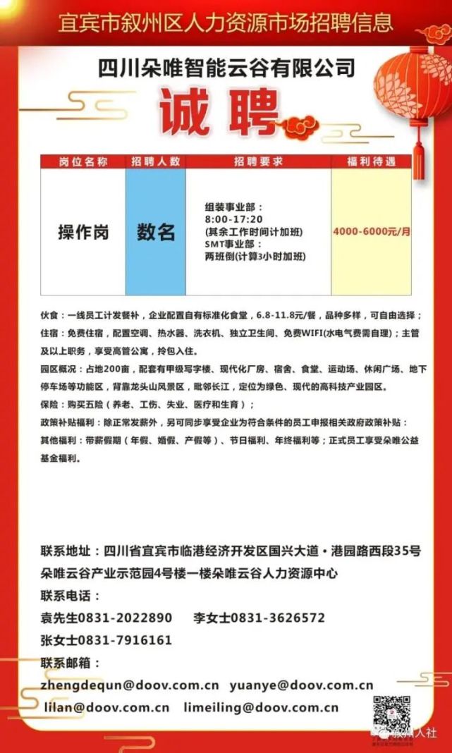 透视潼南新世纪最新招聘现象，多元观点下的招聘热潮