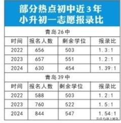 市北棚改最新动态深度解析，2024年11月28日视角