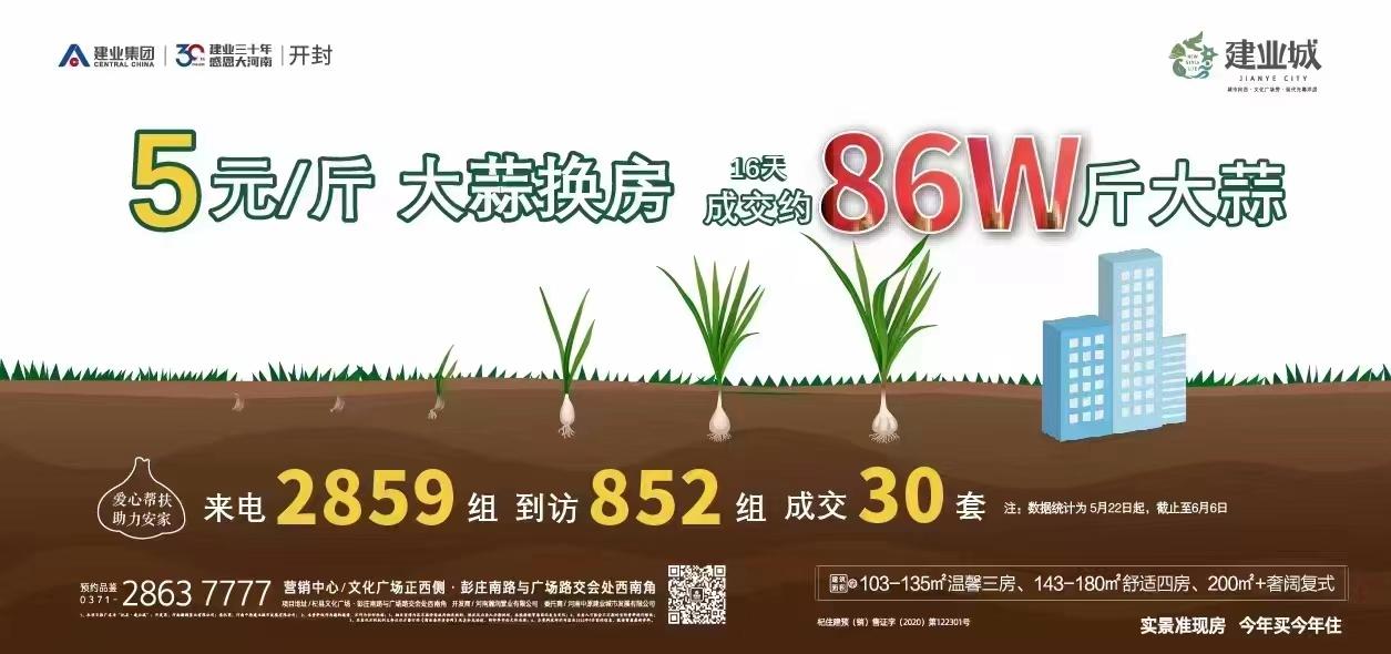 大蒜市场最新价格与科技革新，智能监控系统下的前沿体验与展望（2024年）