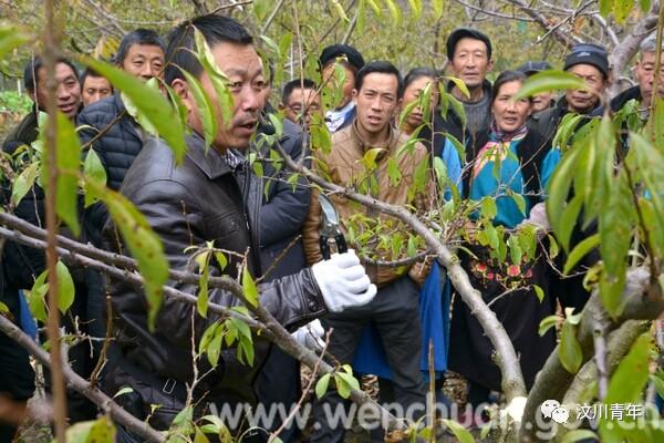 揭秘历史上的十二月二日，作者小农民最新作品揭秘