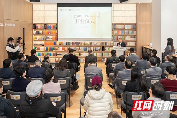 新华金控最新公告深度解读与介绍，历年12月2日公告内容概览