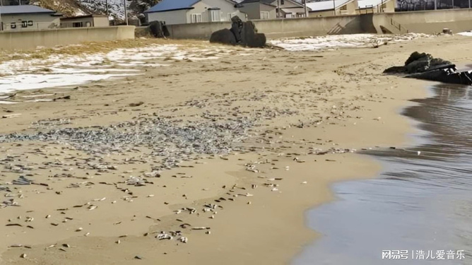 历史上的12月2日，海边之境的新旧交替时刻