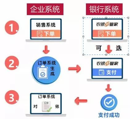 2024年12月5日 第11页