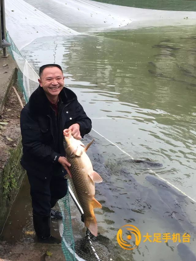 广安水库鱼儿活跃，温馨记忆再现往年鱼情揭秘