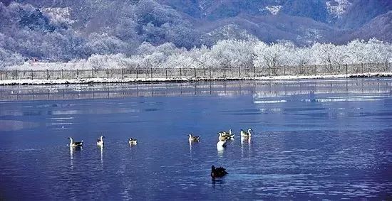 澳门冬日去去妹探秘之旅，自然美景与内心平静的追寻