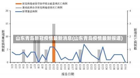 历史上的12月9日蓬莱疫情深度探讨与演变分析