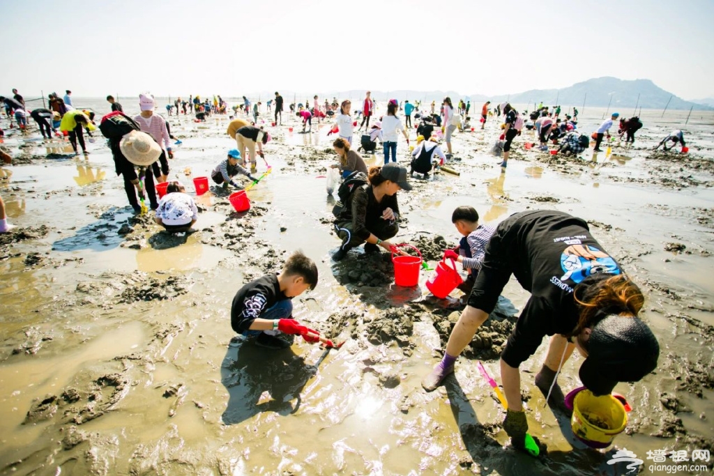 2024年12月9日连云港赶海全攻略，探秘海洋盛宴，尽享赶海乐趣