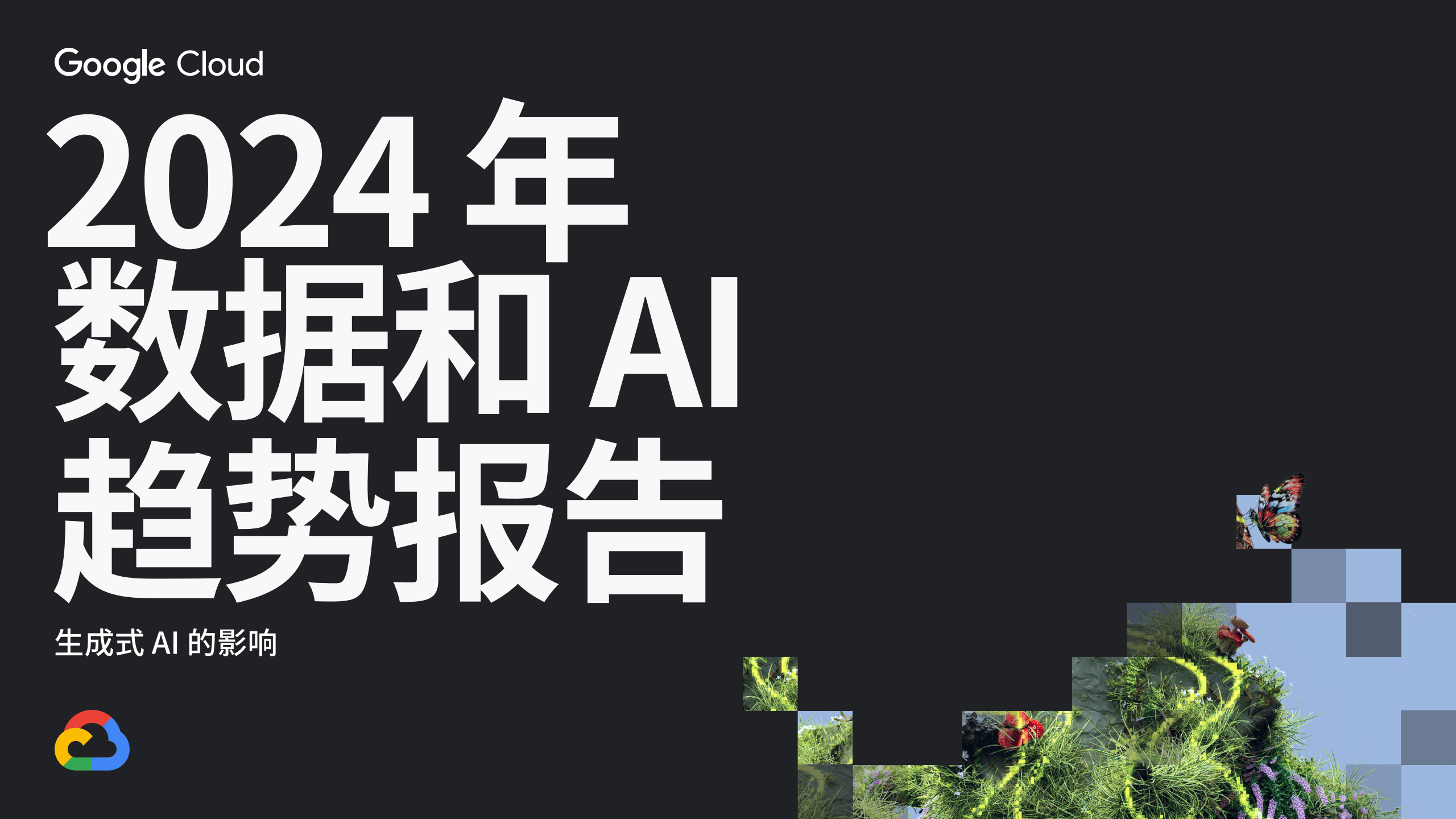 揭秘未来之旅，探寻心灵宁静与平和的旅程——2024年12月9日数据情报与自然美景展望