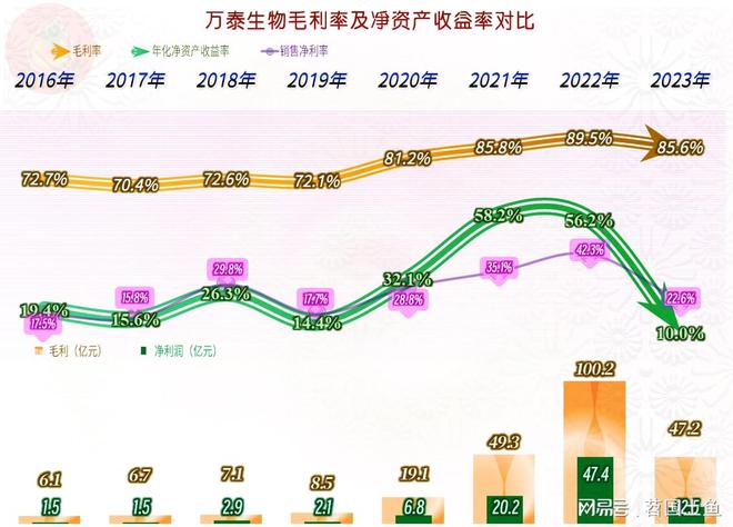 南城县疫情实时动态，变革中的学习之光照亮未来之路（2024年12月10日）