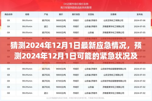 2024年实时位置使用全攻略，初学者与进阶用户适用