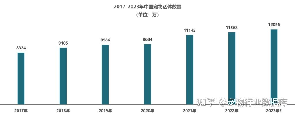 2024年宠物数据洞察，揭秘12月10日实时宠物数据分析报告