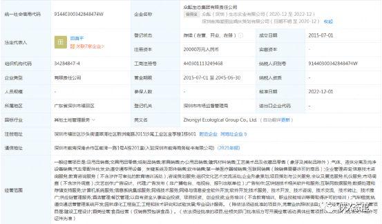 十二月体制内资料实时更新指南，重要性及操作策略