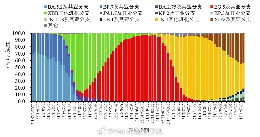 2024年12月10日肺炎实时数字预测与产品深度评测