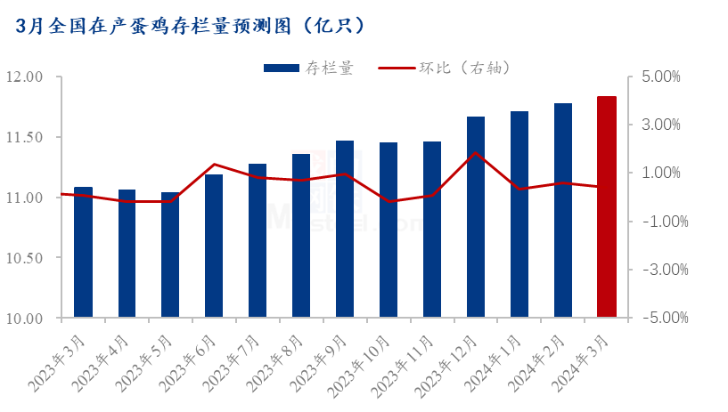 钢材期货风云，一家人温馨期货之旅预测未来走势（实时行情，关注2024年12月10日）