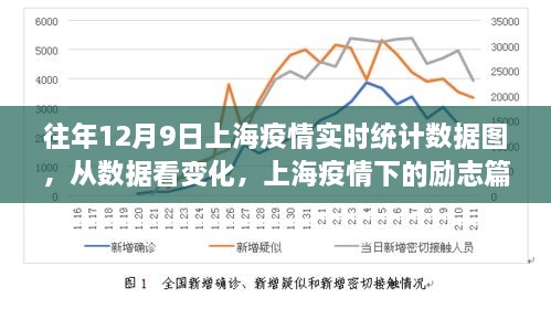 上海防疫之路，2024年12月13日实时数据统计与回顾展望