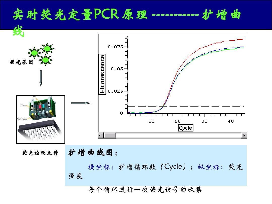 珠海PCR之旅，探寻心灵荧光之美，历年12月13日实时荧光定量PCR网站体验之旅