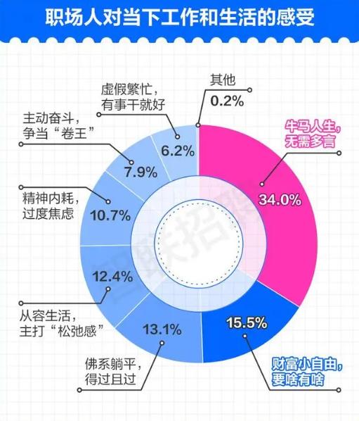 超越未来，共筑梦想，2024团建日实时视频展望与成长之旅揭秘