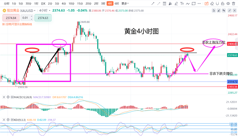 揭秘黄金岁月，金价走势图背后的故事与未来预测——以黄金市场风云变幻的2024年12月14日为观察点