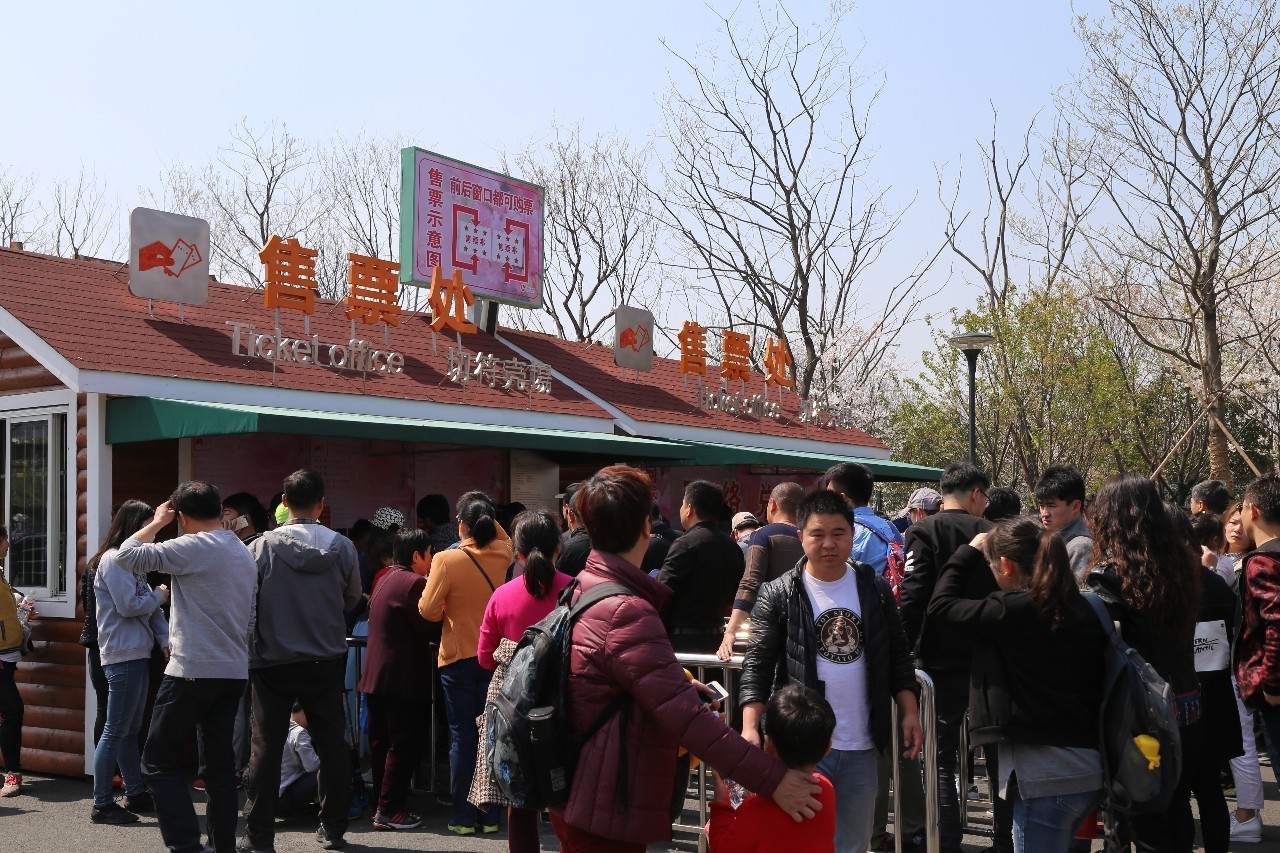 顾村公园历史流量揭秘，科技引领下的实时人流统计革新之旅在12月18日的流量统计揭秘中展现魅力