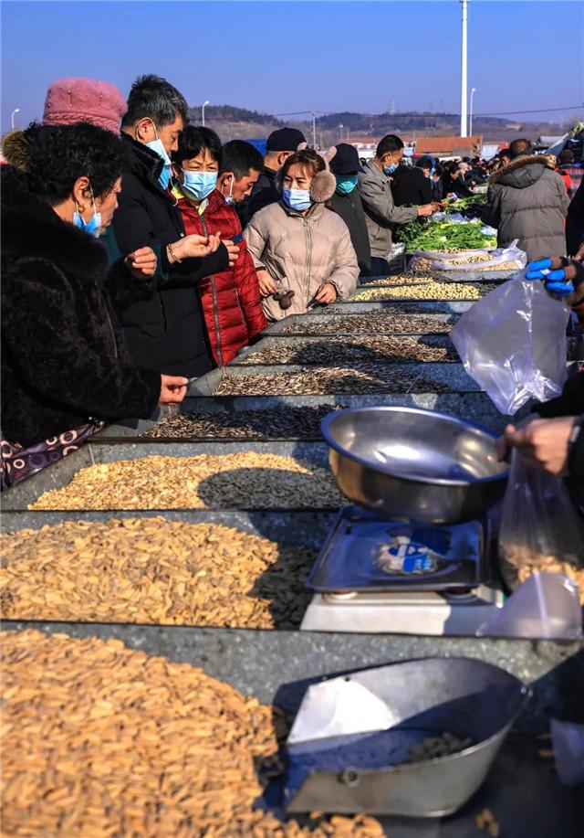 十二月花生市场脉动，实时价格探寻