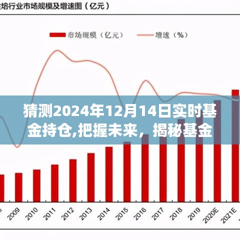 洞察未来，预测与实时观察2024年基金表现