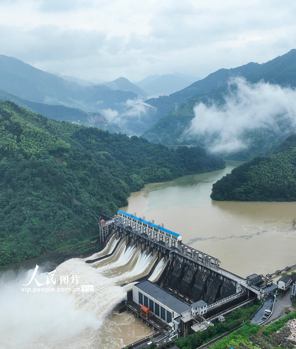 湖南彬州洪水实时情况及应对策略指南（2024年12月22日）